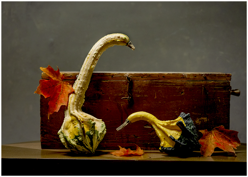 Traditional In Class B By Joy Battista For Fall Leaves And Gourds JAN-2019.jpg